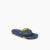 Lime/Navy