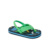 Multi Shark