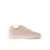 Cameo Rose