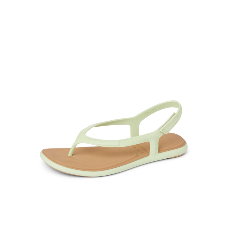 CJ7693_WATER_WILLOW_MAYA_ALOE_LS-900x900-c4cc11b.png