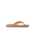 Starfish