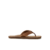 Bronze Brown